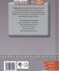 Alternative view of Ties en Veer en de schat