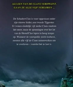 Alternative view of De razende storm