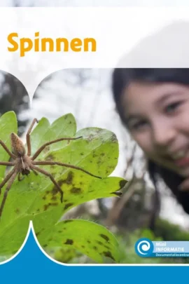 Spinnen