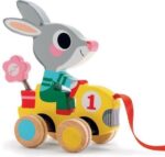 Roulapic Djeco | 4013594583596 Roulapic Djeco | 4013594583596