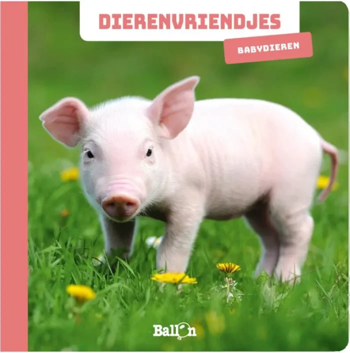 Babydieren
