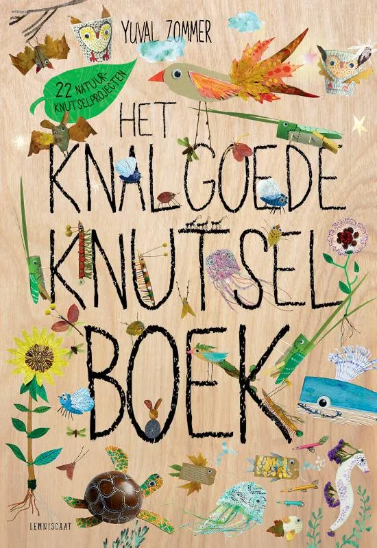 Het knalgoede knutselboek | 9789047715559 Het knalgoede knutselboek