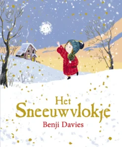 Het sneeuwvlokje