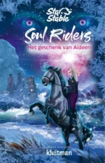 Het geschenk van Aideen | 9789021034331