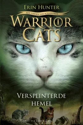 Versplinterde hemel