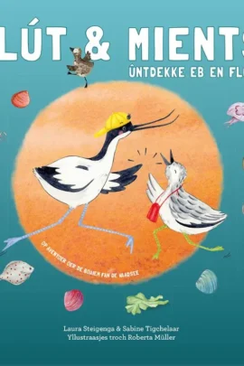 Klút & Mients ûntdekke eb en floed