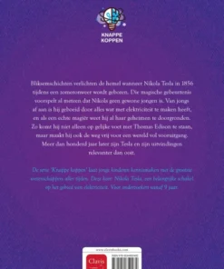 Alternative view of Nikola Tesla