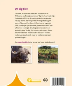 Alternative view of De Big Five