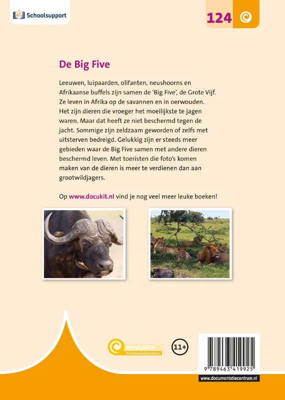 De Big Five | 9789463419925 De Big Five - Afbeelding 2