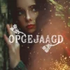 Opgejaagd | 9789030508779 Opgejaagd | 9789030508779