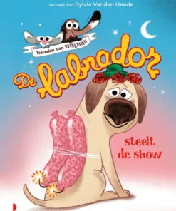 De labrador steelt de show