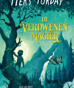 De verdwenen magiër