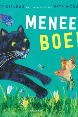 Meneer boe!
