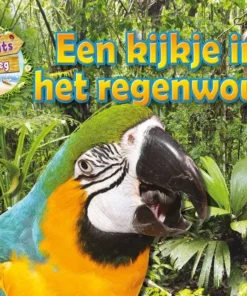 Een kijkje in het regenwoud