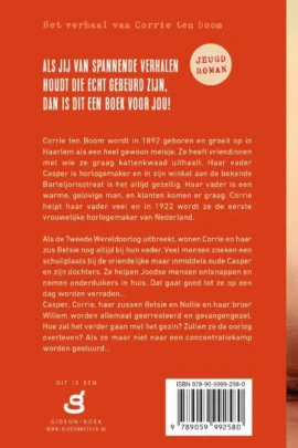 Alternative view of Het meisje uit de Barteljorisstraat