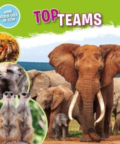 Topteams