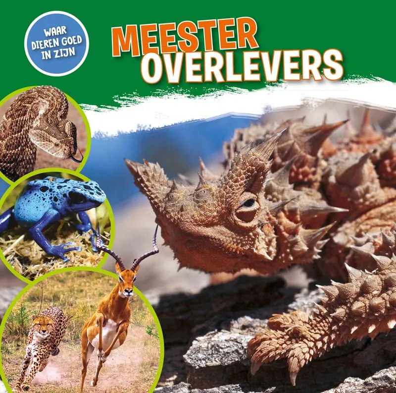 Meesteroverlevers | 9789464390148 Meesteroverlevers
