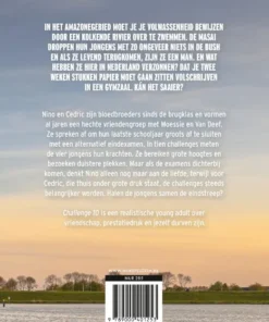 Alternative view of Challenge 10