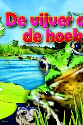 De vijver om de hoek