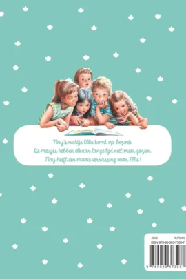 Tiny en de verrassing | 9789030373087