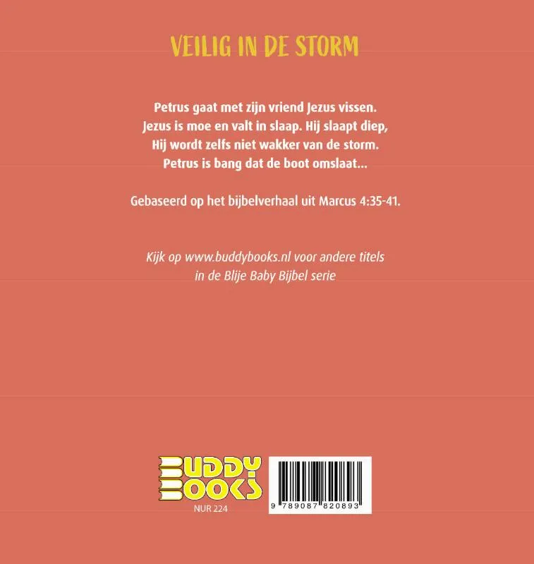 Veilig in de storm | 9789087820893 Veilig in de storm - Afbeelding 2