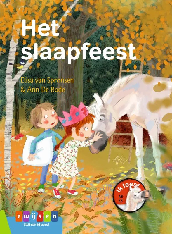 Het slaapfeest | 9789048735990 Het slaapfeest
