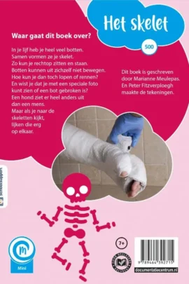 Alternative view of Het skelet