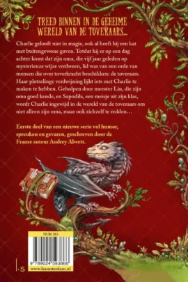 De leerling-toveraar | 9789024593866 De leerling-toveraar | 9789024593866