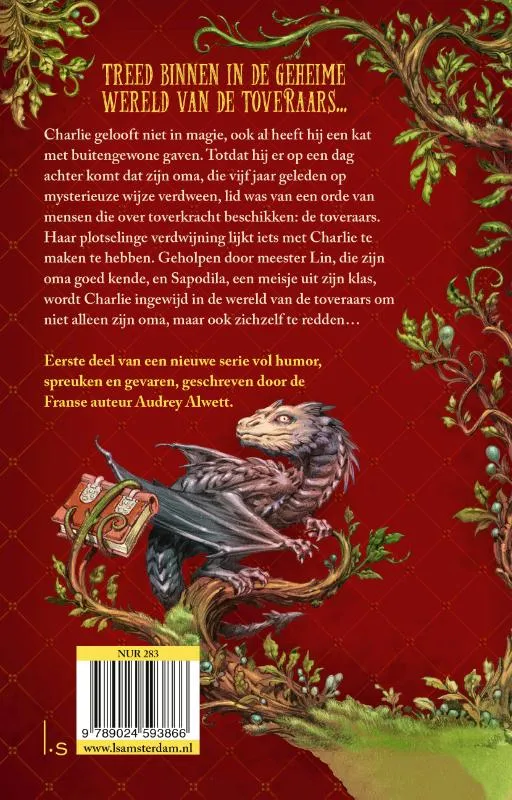 De leerling-toveraar | 9789024593866 De leerling-toveraar - Afbeelding 2