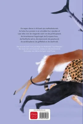 Alternative view of De allersnelste