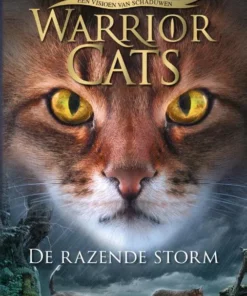 De razende storm