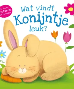 Wat vindt Konijntje leuk?
