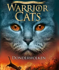 Donderwolken