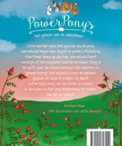 Alternative view of Het geheim van de edelstenen