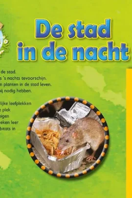 Alternative view of De stad in de nacht