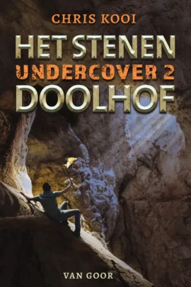 Het stenen doolhof