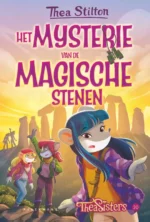 Het mysterie van de magische stenen | 9789464290875