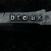 Break | 9781416984818 Break | 9781416984818