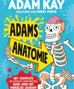 Adams anatomie