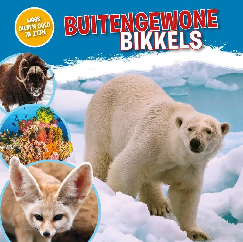 Buitengewone bikkels | 9789464390155 Buitengewone bikkels