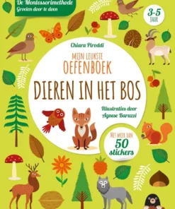 Mijn leukste oefenboek