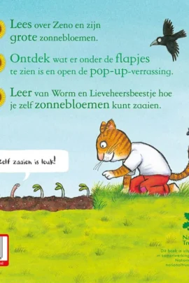 Alternative view of Zeno zaait een zonnebloem