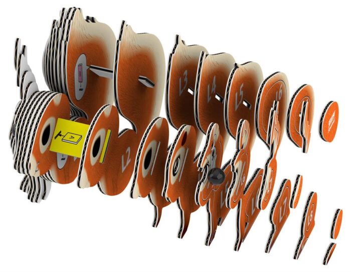 Eugy 3D model Eekhoorn - Afbeelding 4