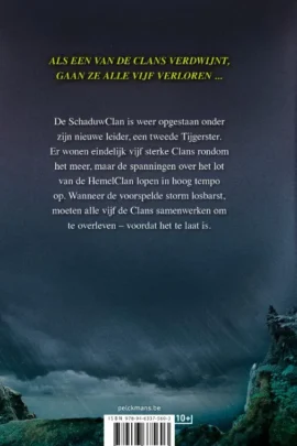 Alternative view of De razende storm