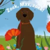 Zoek, Max, zoek! | 9789464103946