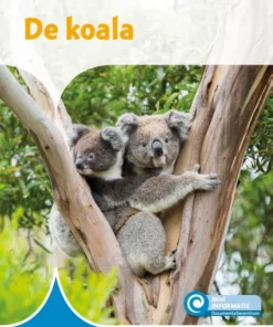 De koala