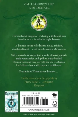 Alternative view of The Silver Mask