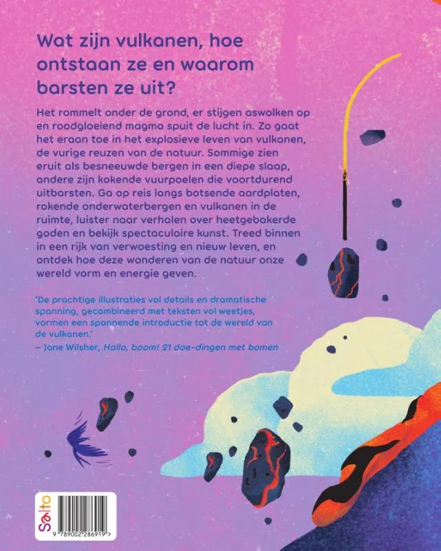 Vulkanen | 9789002286919 Vulkanen - Afbeelding 2