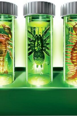 Alternative view of Gloeiend beestjeslabo