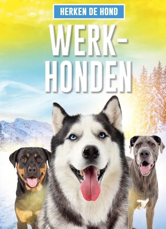 Werkhonden | 9789464390353 Werkhonden